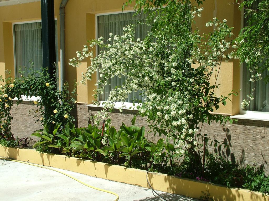 Hotel Rio Piscina Priego de Córdoba Dış mekan fotoğraf
